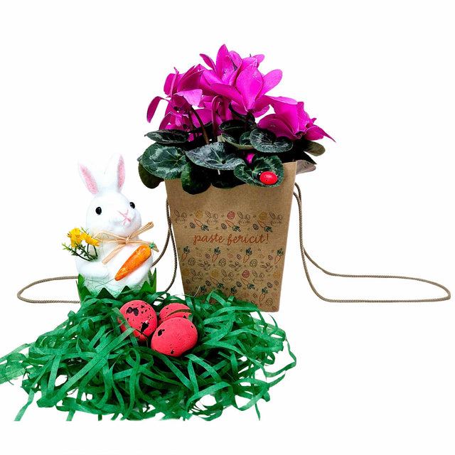 WHITE paper bag for flowers with textile string handles 23 x 20(H) x 20cm