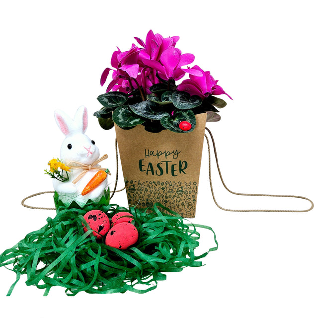 WHITE paper bag for flowers with textile string handles 23 x 20(H) x 20cm