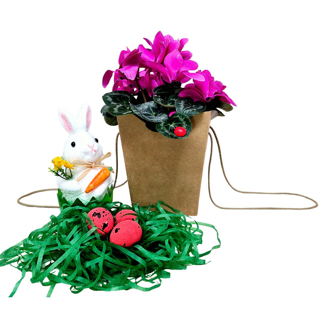 Pungă carton NATUR pentru flori cu mânere din șnur textil 11 x 18,5(H) x 11cm