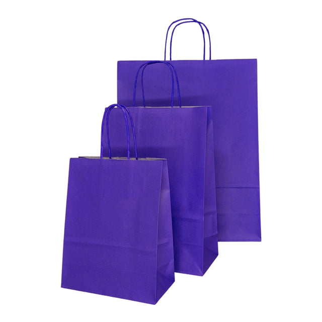 Pungă hârtie kraft ALBASTRĂ cu mânere din hârtie răsucită 18 x 22(H) x 8cm