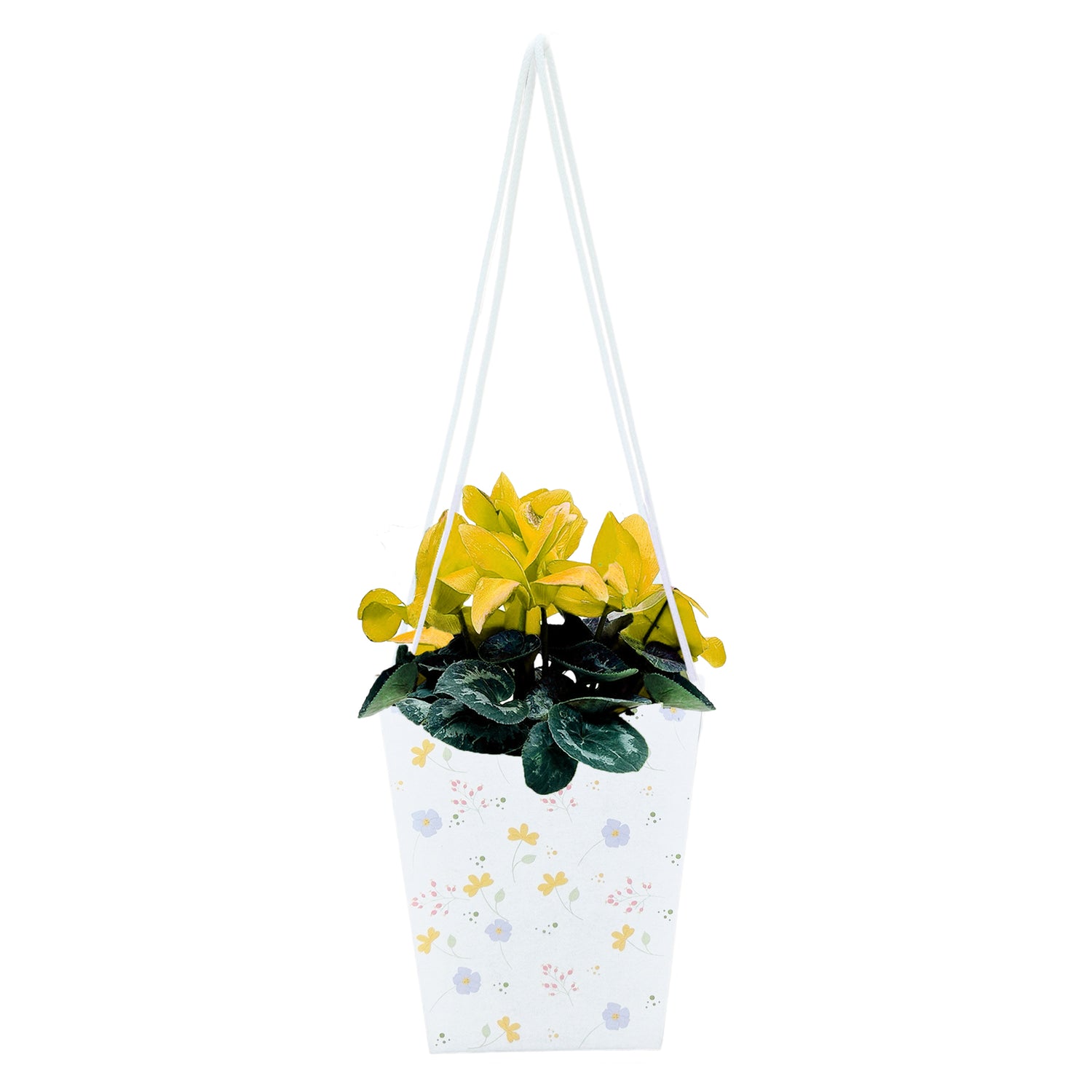 Pungă carton ALB pentru flori - Model 5 Floral cu mânere din șnur textil 11 x 18,5(H) x 11cm