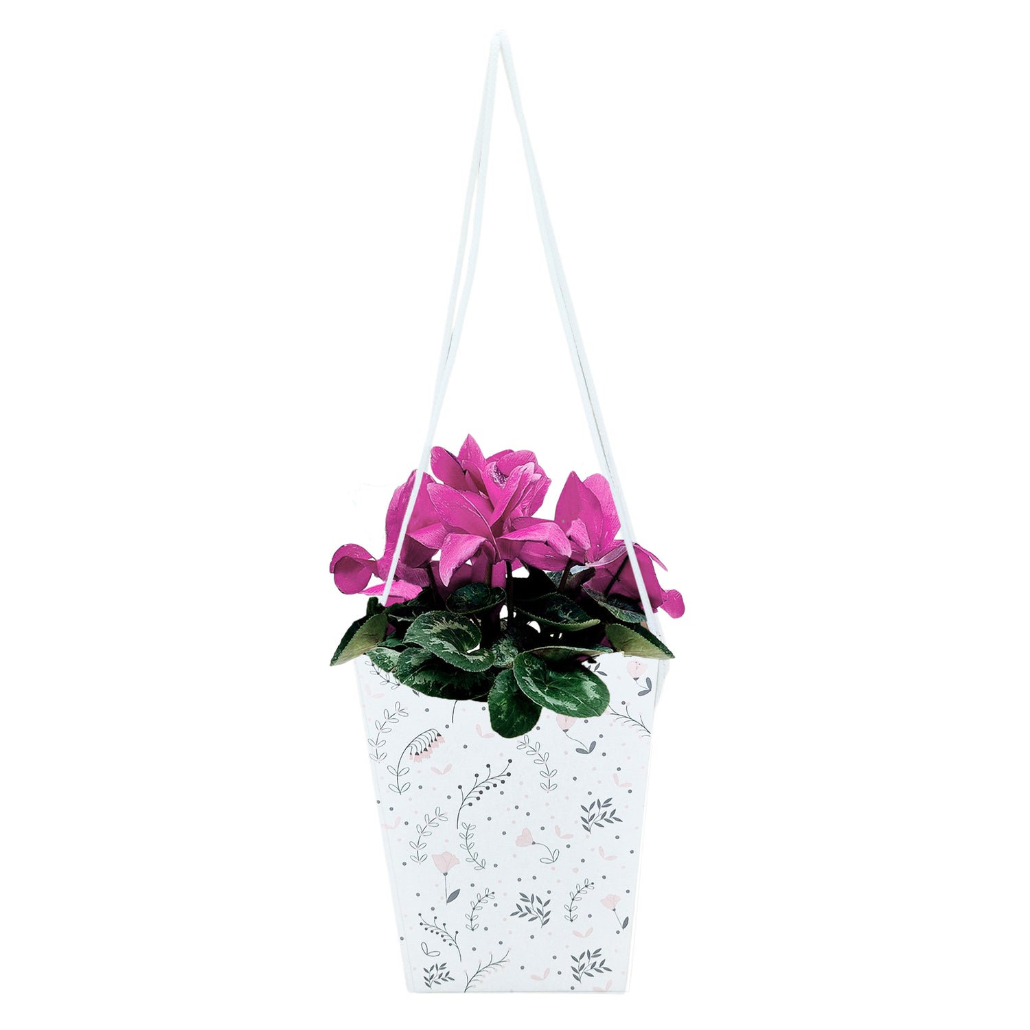Pungă carton ALB pentru flori - Model 3 Floral cu mânere din șnur textil 11 x 18,5(H) x 11cm