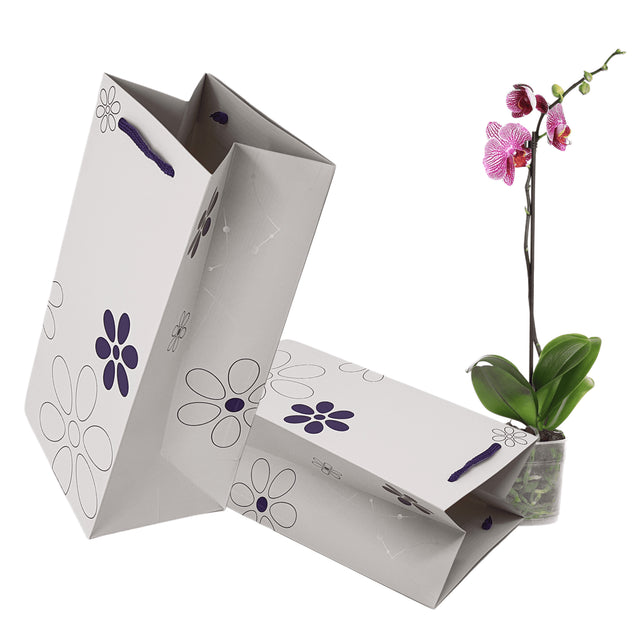 Pungă hârtie MOV pentru flori (ORHIDEE) cu mânere din șnur textil 16 x 33(H) x 13cm