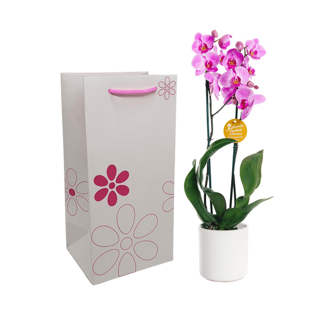 Pungă hârtie ROZ pentru flori (ORHIDEE) cu mânere din șnur textil 16 x 33(H) x 13cm