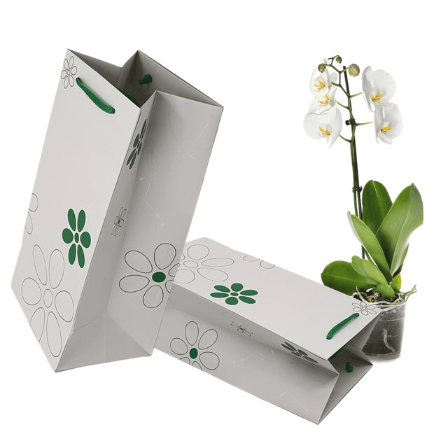 Pungă hârtie VERDE pentru flori (ORHIDEE) cu mânere din șnur textil 16 x 33(H) x 13cm