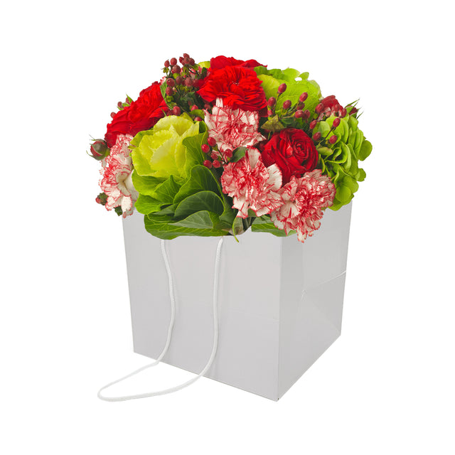 Pungă hârtie ALBĂ pentru flori cu mânere din șnur textil 23 x 20(H) x 20cm