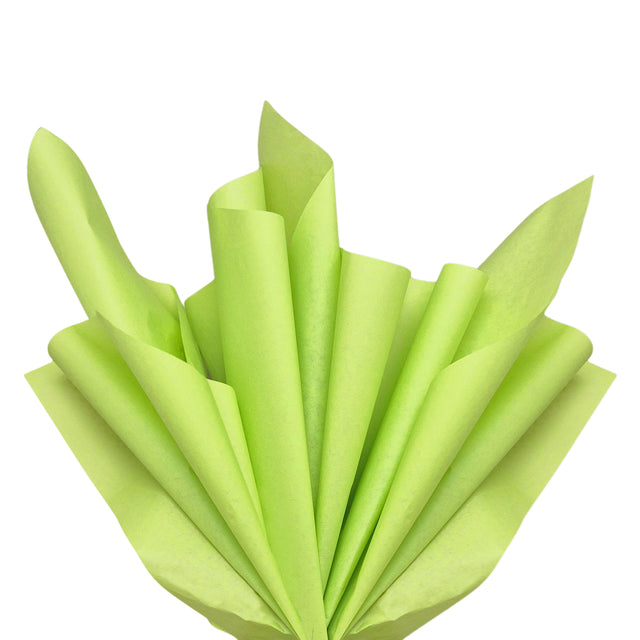 Hârtie de mătase verde-lime, aranjament evantai, 28g/m² – dimensiune 50x75cm