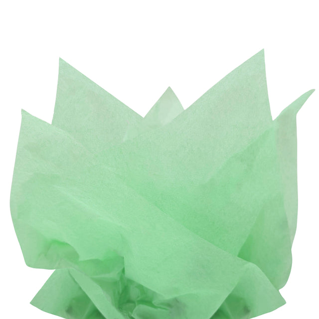 Hârtie de mătase verde menta, aranjament evantai, 17g/m² – dimensiune 50x75cm