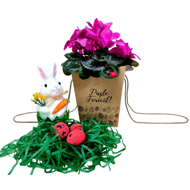 Pungă carton NATUR pentru flori - Model 1 Paște cu mânere din șnur textil 11 x 18,5(H) x 11cm