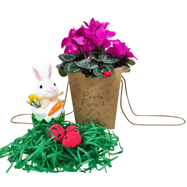 Pungă carton NATUR pentru flori - Model 3 Paște cu mânere din șnur textil 11 x 18,5(H) x 11cm
