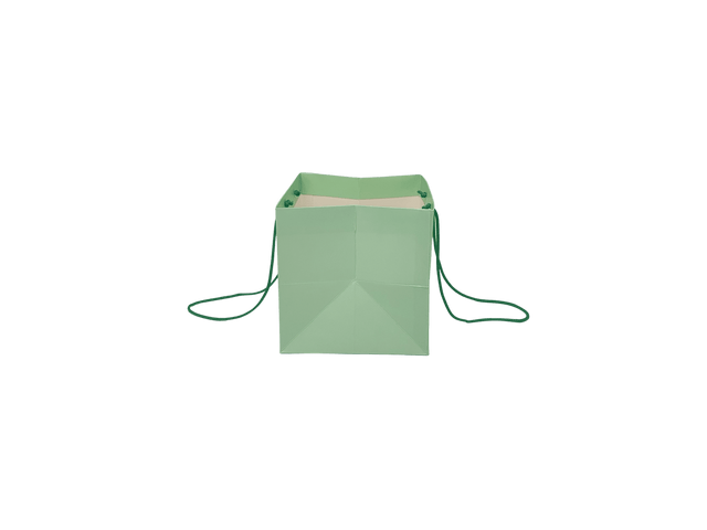Punga hartie flori (mica) - Verde Light 2