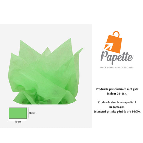 Hârtie de mătase verde deschis, aranjament evantai, 17g/m² – dimensiune 50x75cm