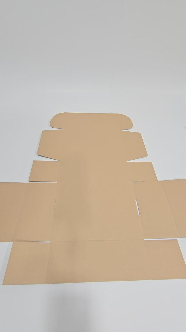 Ansamblare Cutie cu autoformare NATUR Model Craciun Festive Trees dimensiune 28 x 20 x 10cm